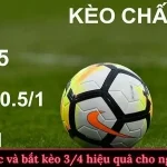 Cách đọc và bắt kèo 3/4 hiệu quả cho người mới