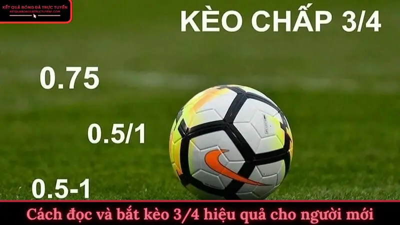Cách đọc và bắt kèo 3/4 hiệu quả cho người mới