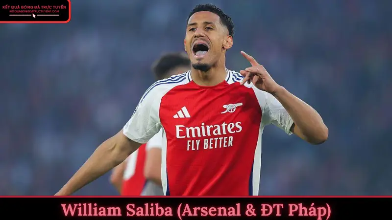 William Saliba (Arsenal & ĐT Pháp)