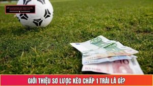 Giới thiệu sơ lược kèo chấp 1 trái là gì?