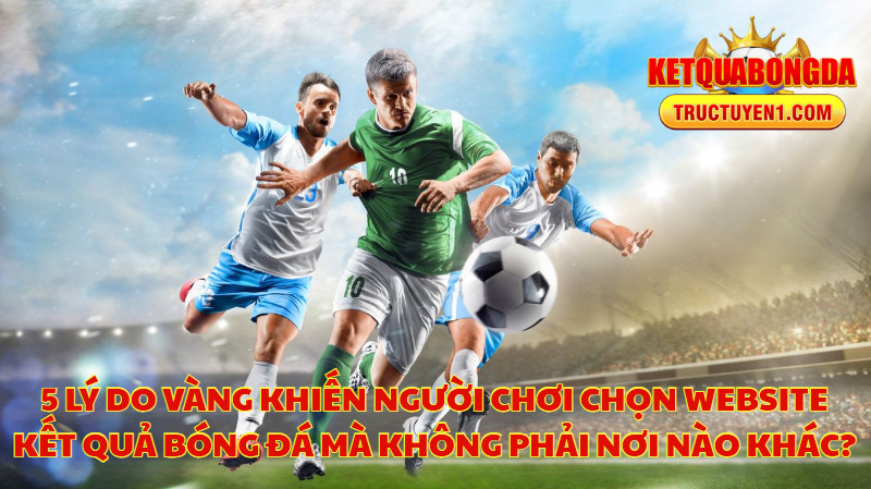5 Lý Do Vàng Khiến Người Chơi Chọn Website Kết Quả Bóng Đá Mà Không Phải Nơi Nào Khác?