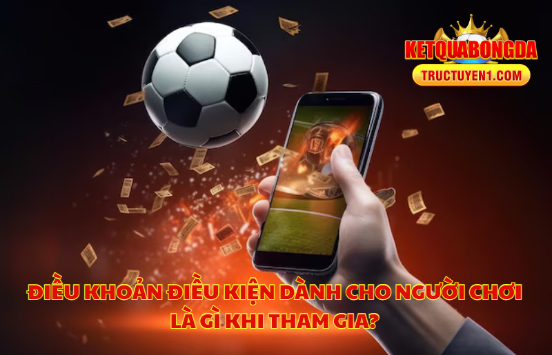 Điều Khoản Điều Kiện Dành Cho Người Chơi Là Gì Khi Tham Gia?
