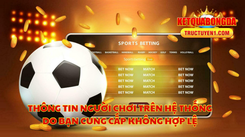 Thông Tin Người Chơi Trên Hệ Thống Do Bạn Cung Cấp Không Hợp Lệ